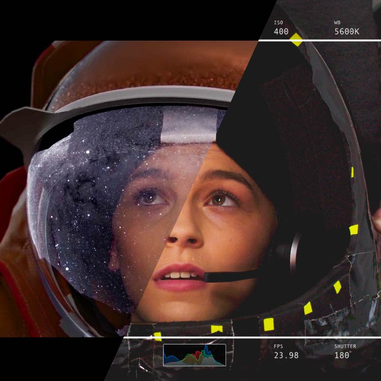 3D Animation and VFX - Bachelor of Art & Design