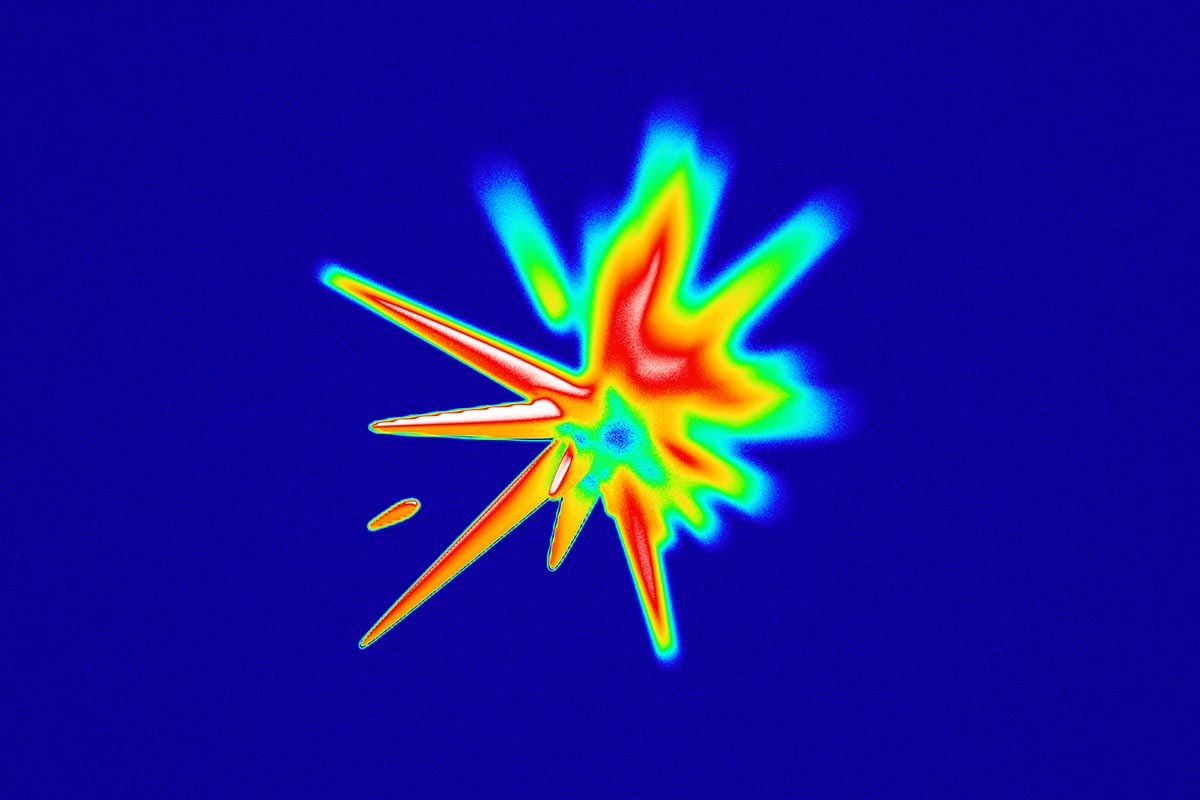 Policies and Procedures