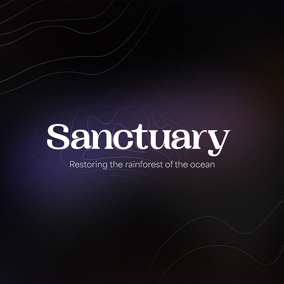 Sanctuary, a Media Design School student project, earned multiple awards at the 2024 Best Awards