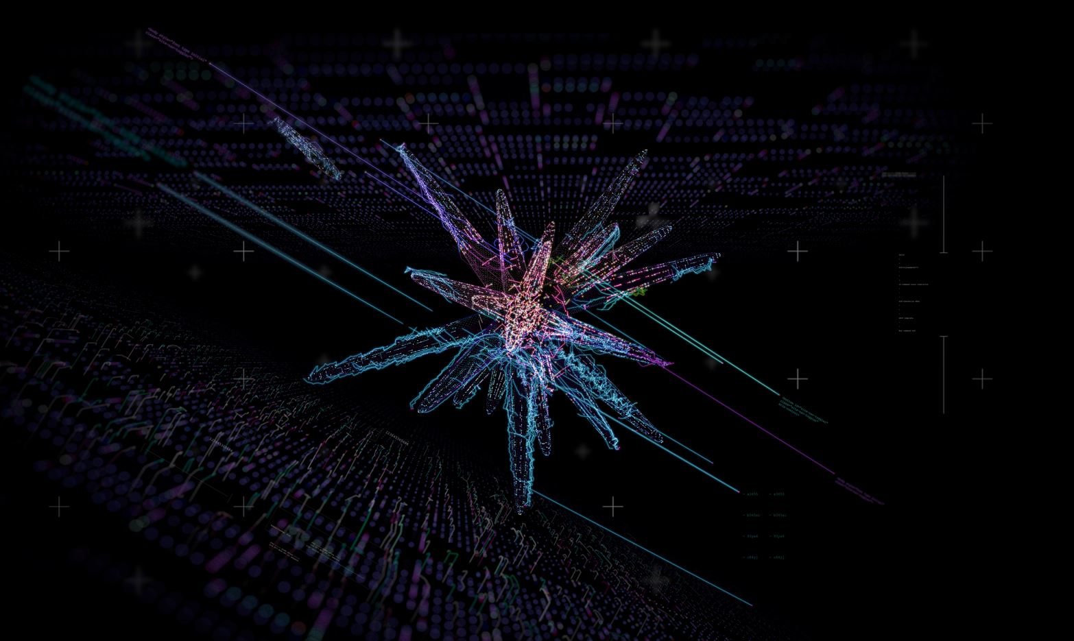 Find Your Fit 2025 July 9th