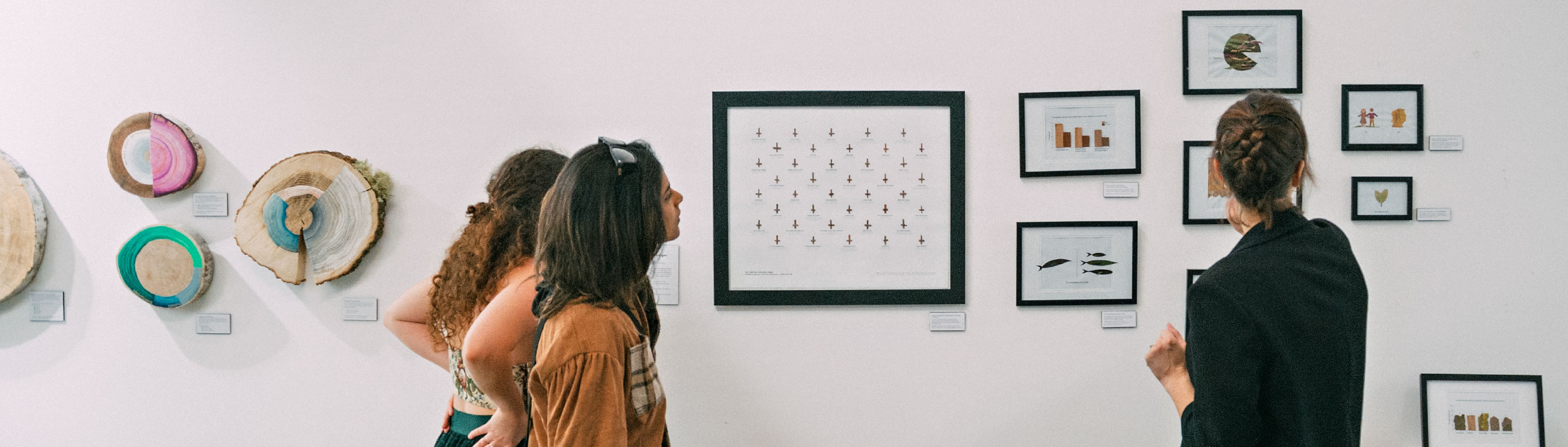 Postgraduate Studies at Media Design School