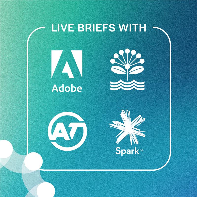 BMD Live Brief Showcase