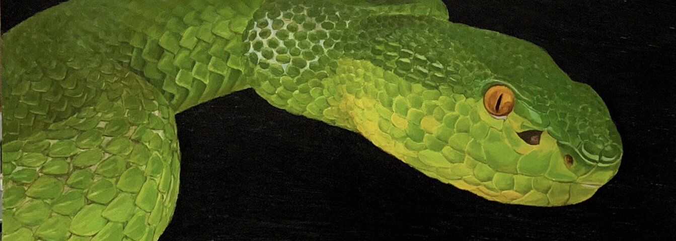 Oil painting of a snake