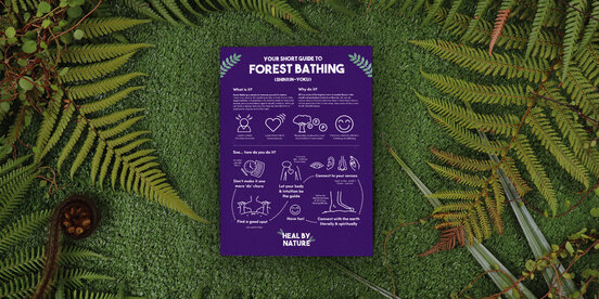 Forest Bathing is a campaign created by Sophie Tse, alumni of MDS, to help people reconnect with nature