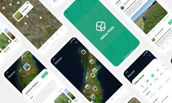 Lily Wigglesworth studied UI/UX at Media Design School through the Bachelor of Media Design