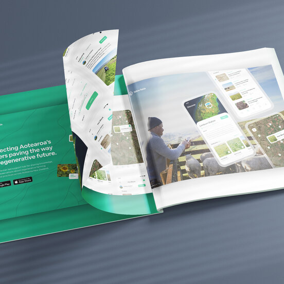 Build your portfolio