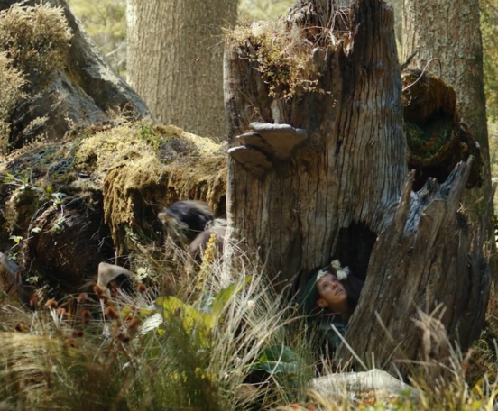 Scene from Rings of Power created by James Robertson and team at Masters of Reality