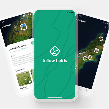 'Fellow Fields’ by Lily Wigglesworth