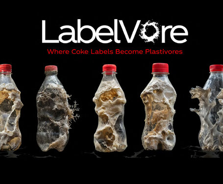 Creative Advertising - Media Design School at Strayer