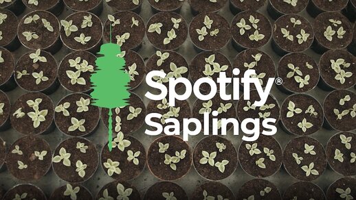 Spotify Saplings Branings