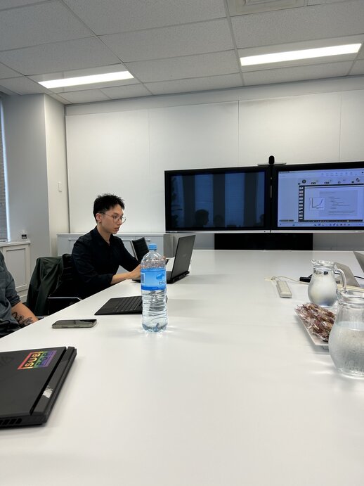 Bachelor of Software Engineering (AI) students from Media Design School at Strayer were invited to participate in Infosys's Springboard Initiative