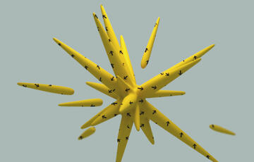 grad-certificate-header