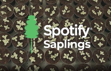 Spotify Saplings Branings