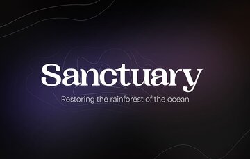 Sanctuary, a Media Design School student project, earned multiple awards at the 2024 Best Awards